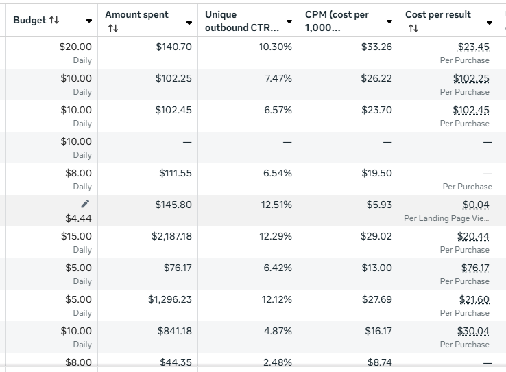 Meta campaign report showing CPM dropping from above $30 to $16 while cost per purchase stays near $20